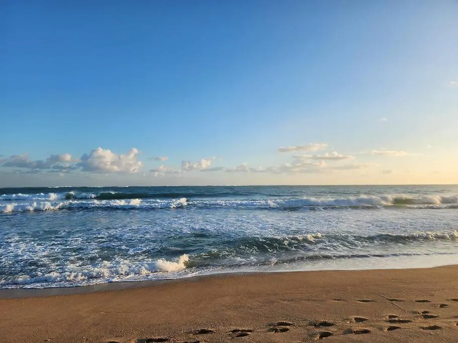 Gorgeous 1-Bedroom Beachside Suite San Juan